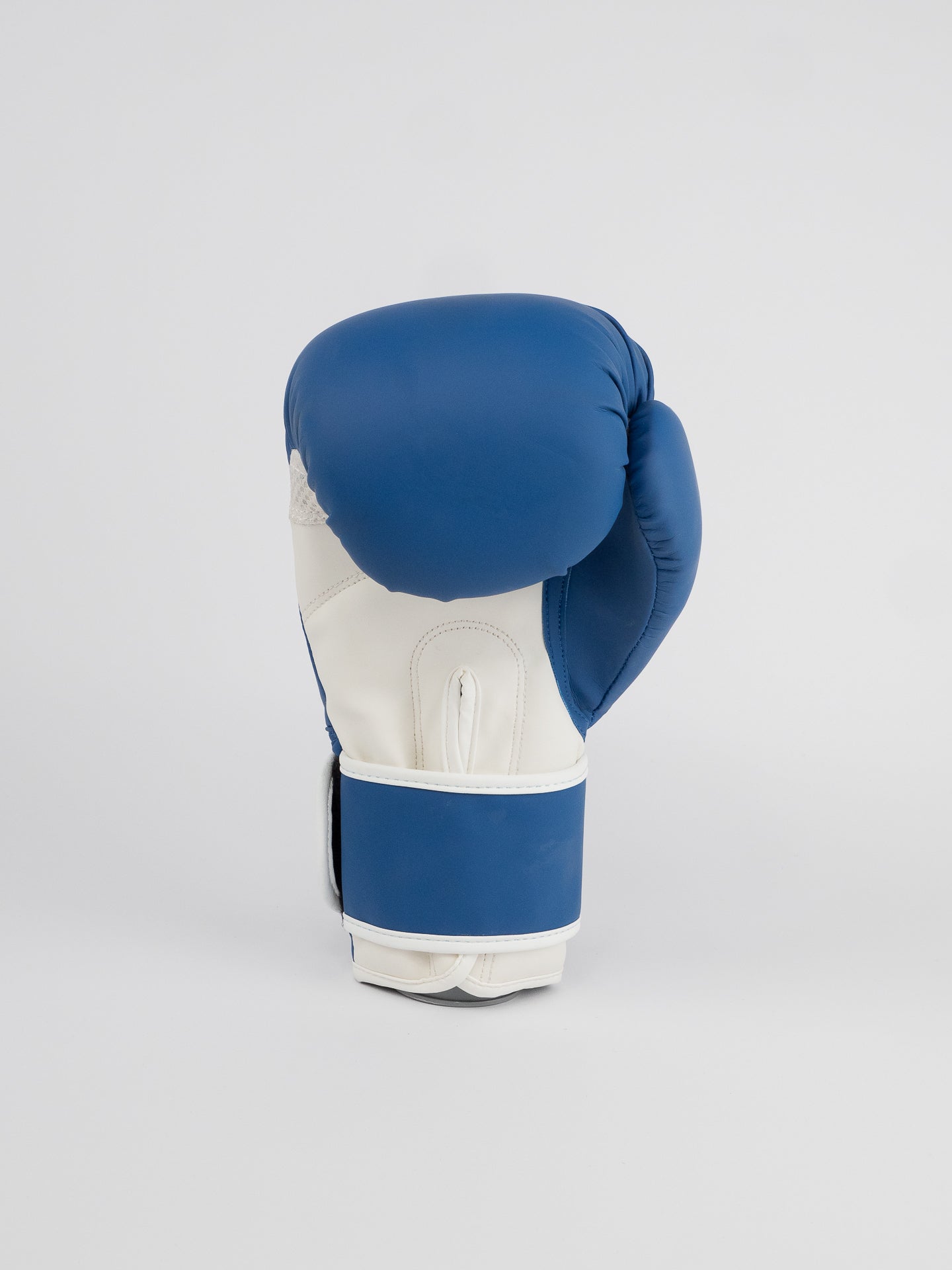 BLUE TRAINING BOXING GLOVES