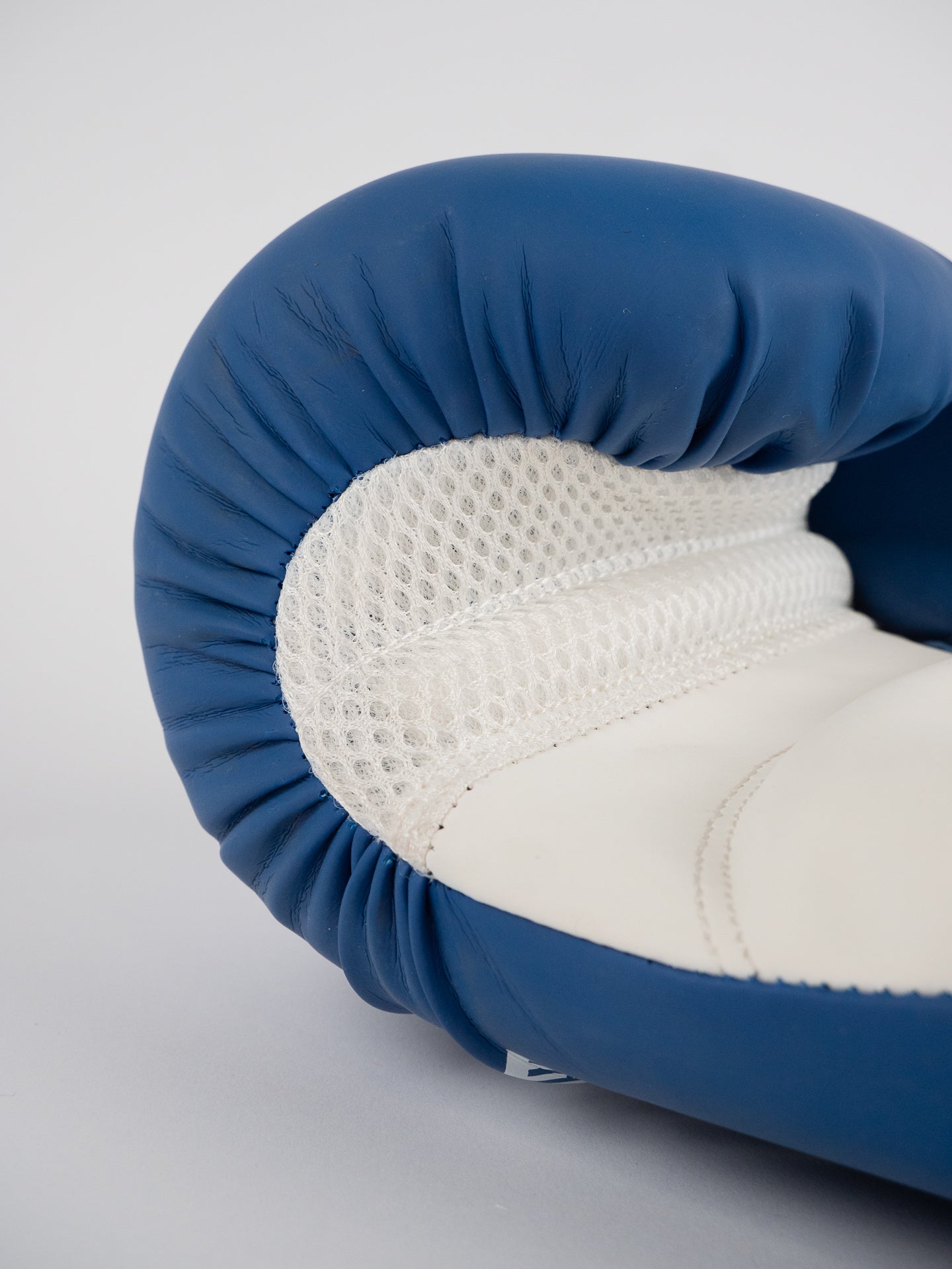 BLUE TRAINING BOXING GLOVES