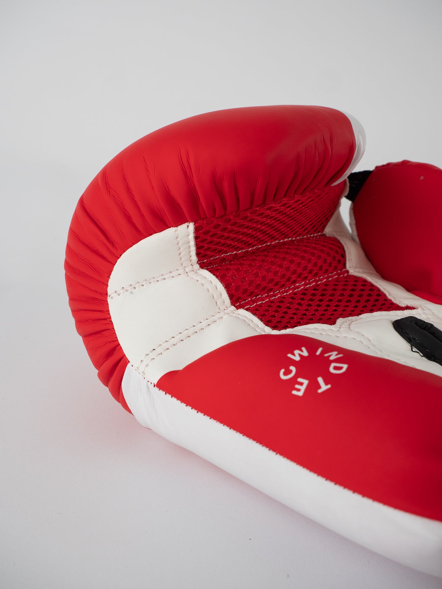 RED SAVATE BOXING GLOVES