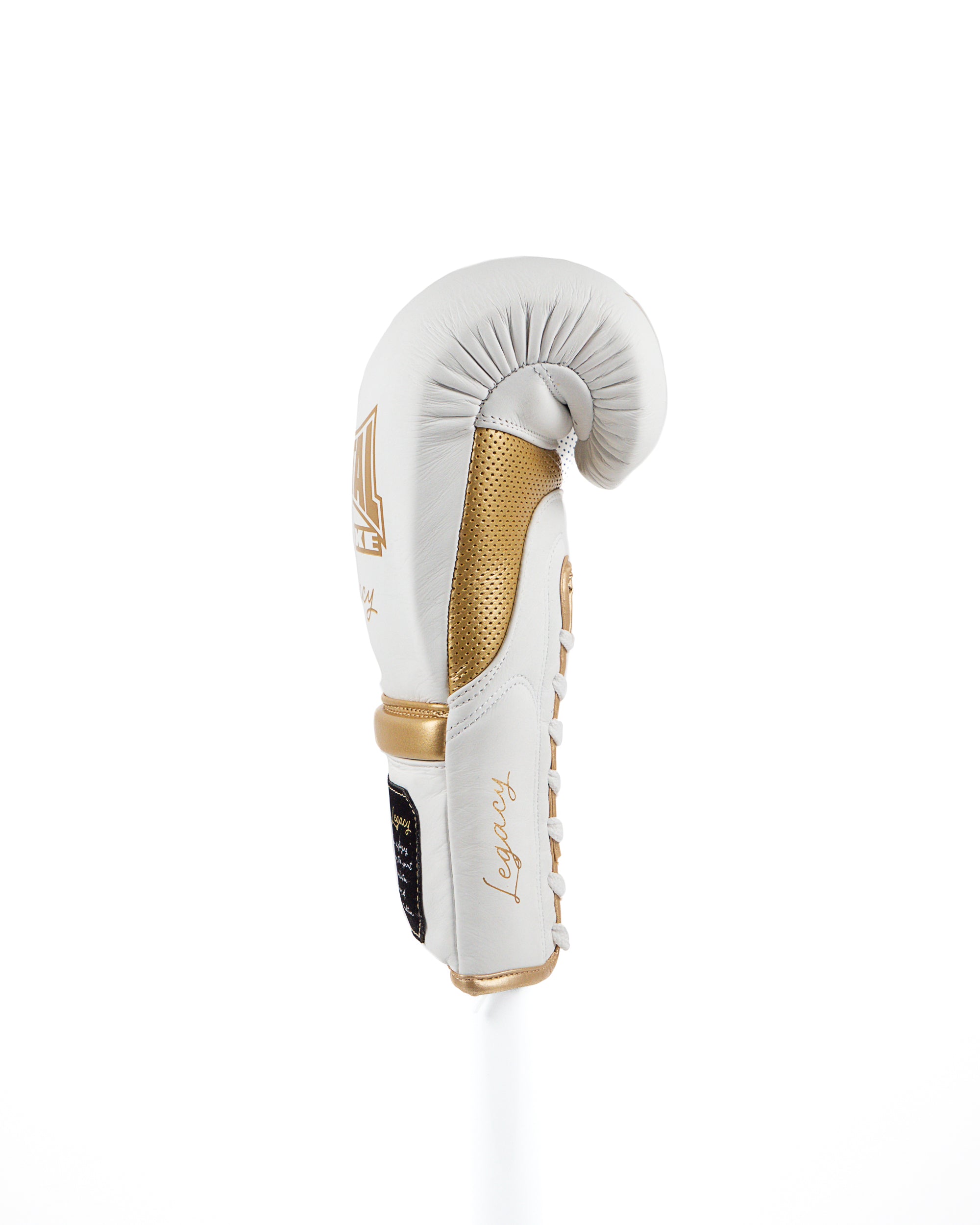 GANTS DE BOXE LEGACY HORSE HAIR BLANC