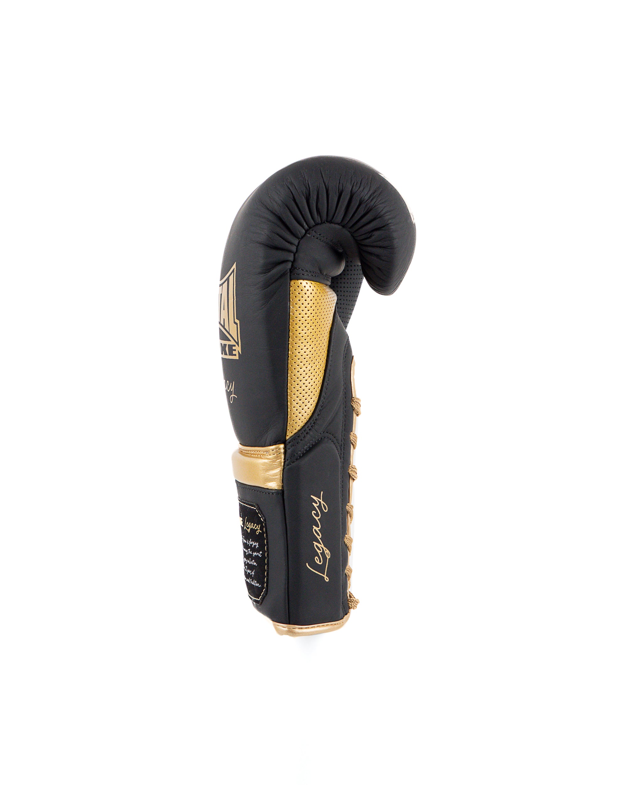 GANTS DE BOXE LEGACY HORSE HAIR NOIR