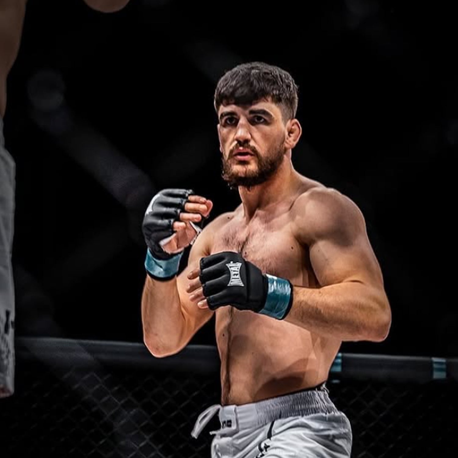 mathieu chaumont tandia kof hexagone mma champion 77 kg ceinture metal boxe