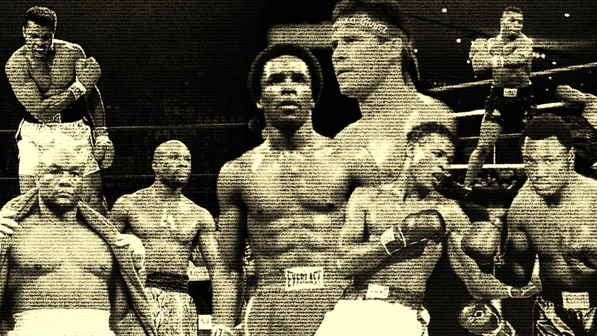 Les meilleurs boxeurs de tous les temps