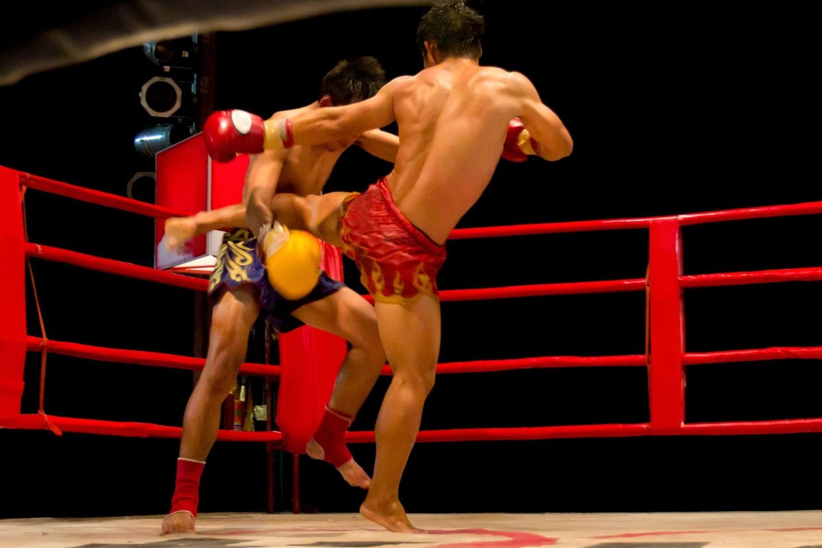 Combattants sur un ring, variété des appuis et des enchaînements