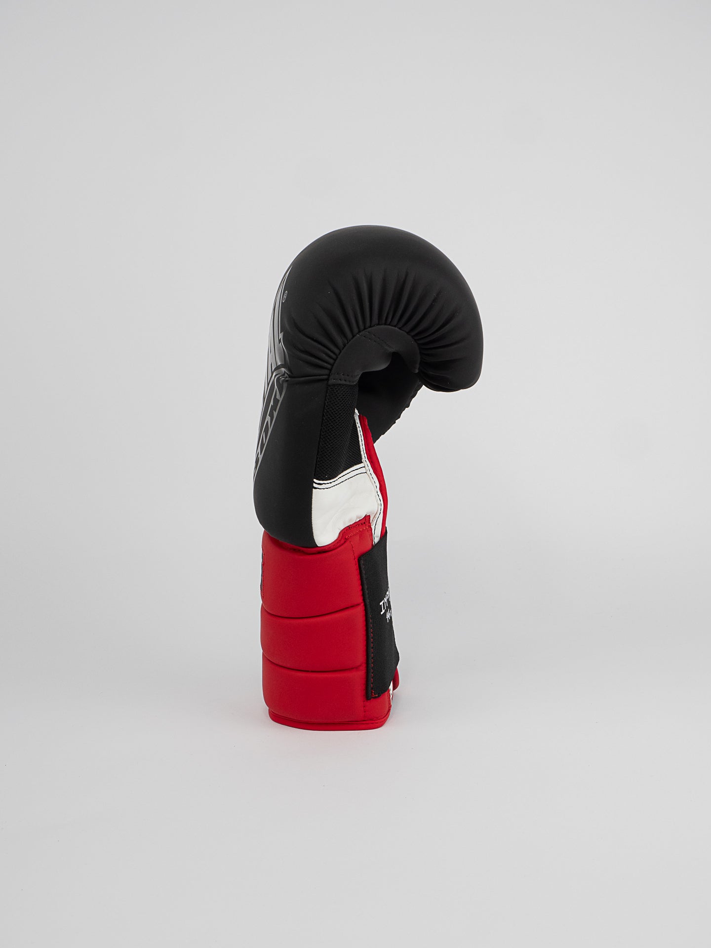 GANTS DE BOXE SPARRING