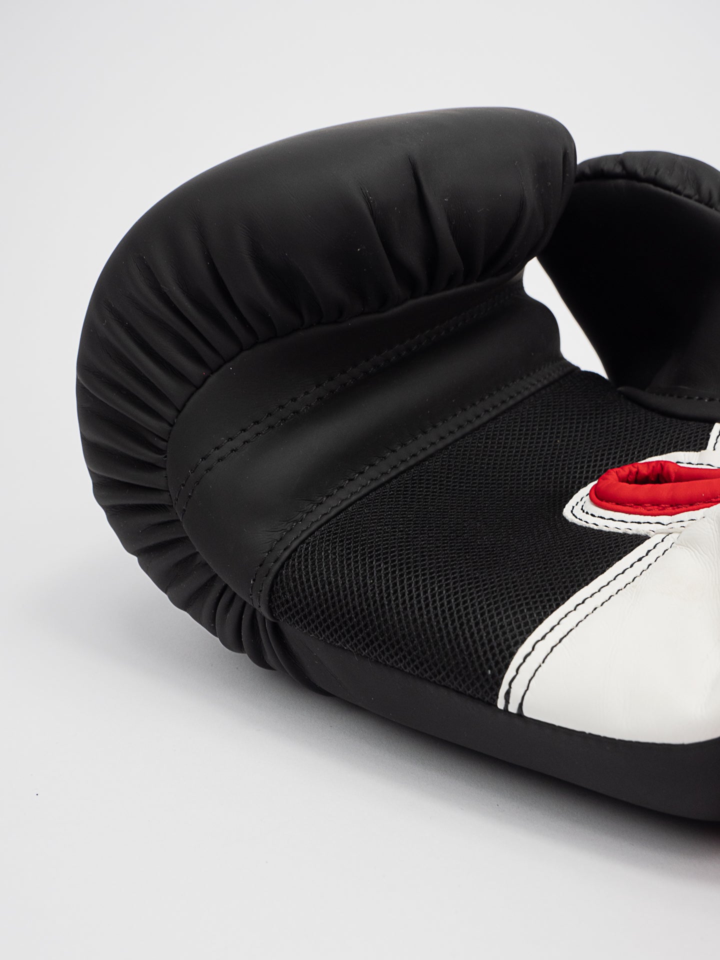 GANTS DE BOXE SPARRING