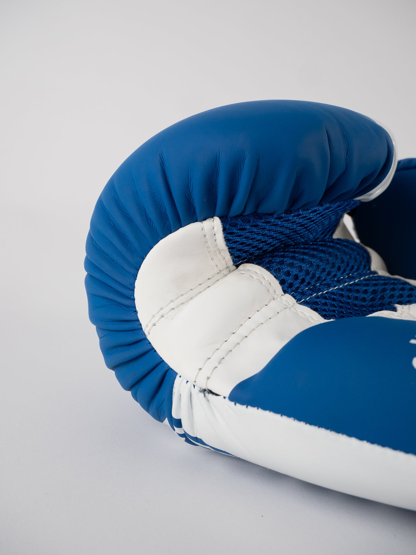 GANTS DE BOXE SAVATE BLEU