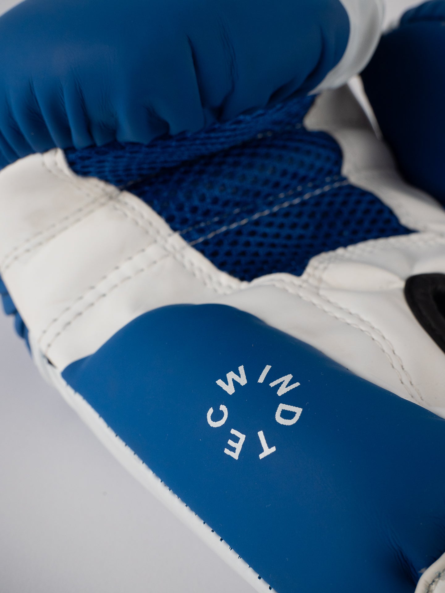 GANTS DE BOXE SAVATE BLEU