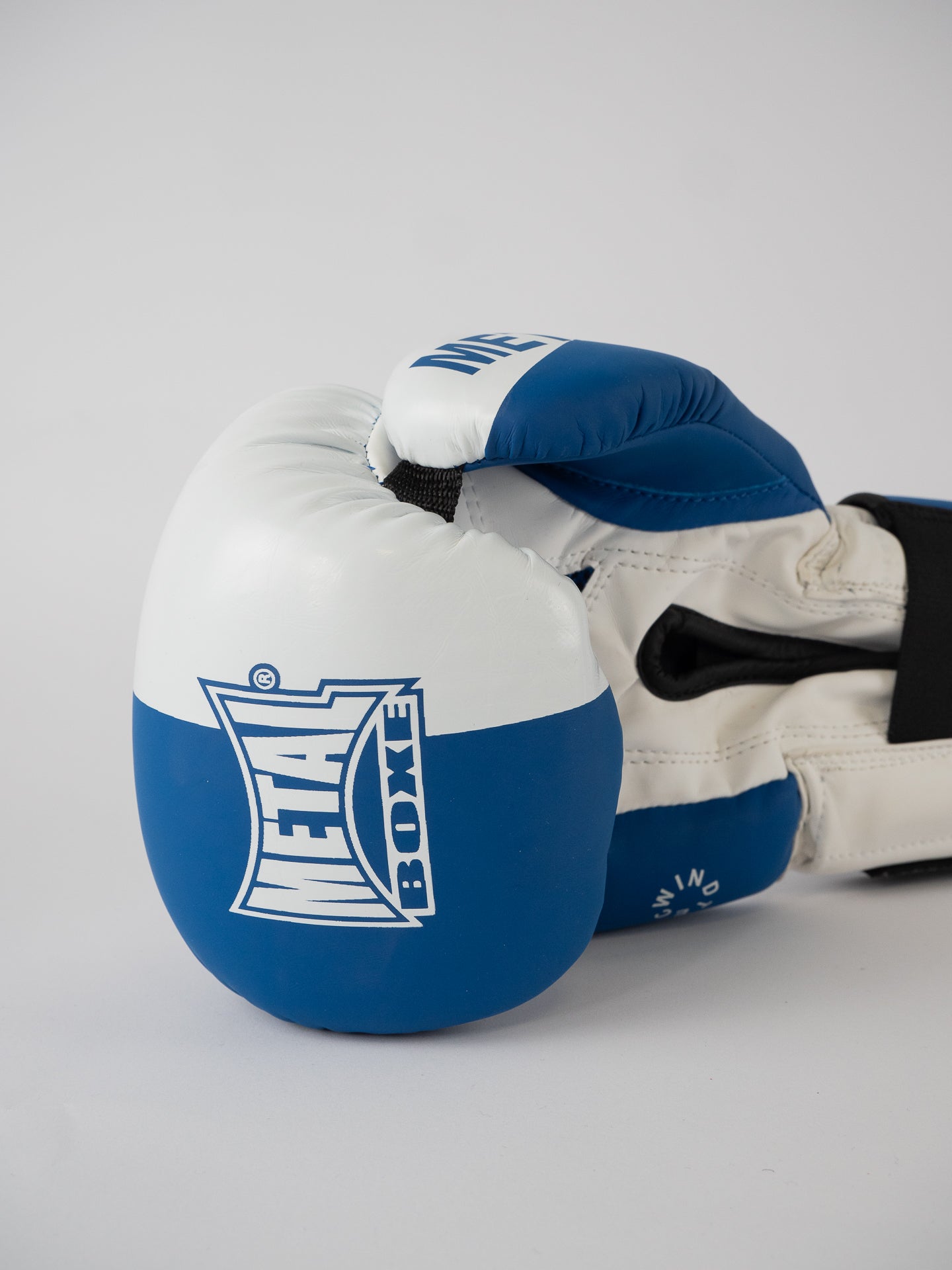 GANTS DE BOXE SAVATE BLEU