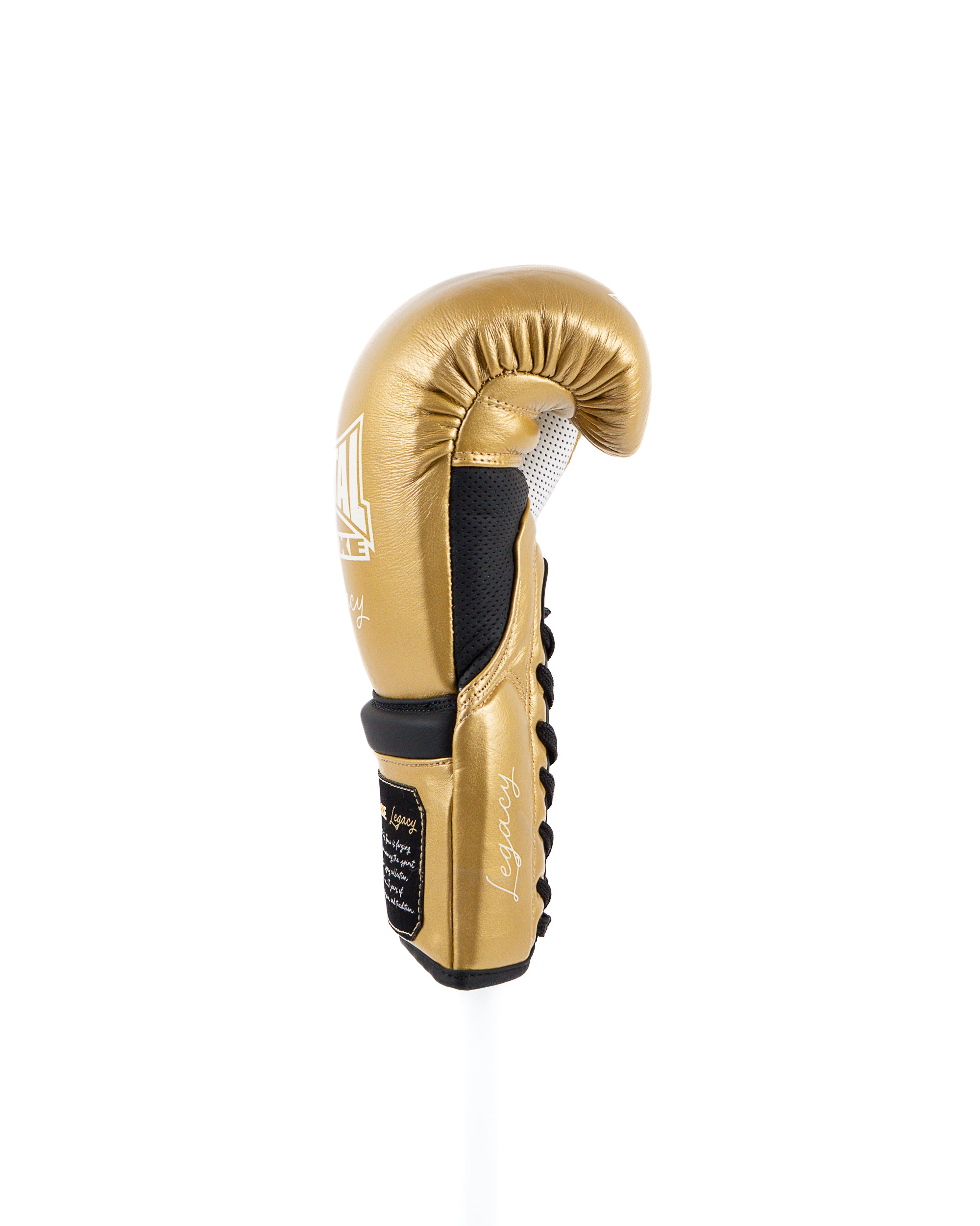 GANTS DE BOXE LEGACY HORSE HAIR OR