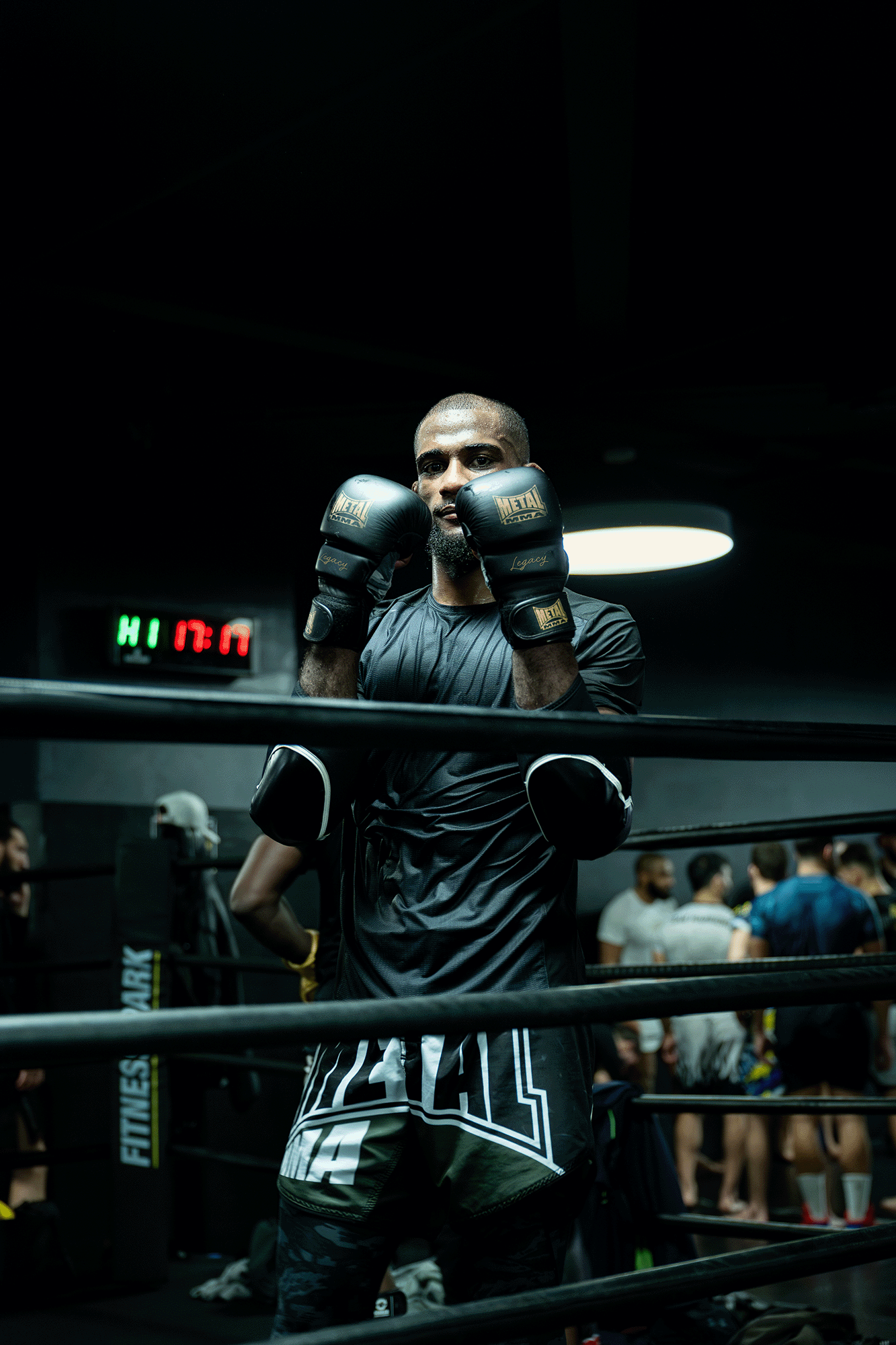 wilson varela legacy sparring mma gloves training ksw hexagone